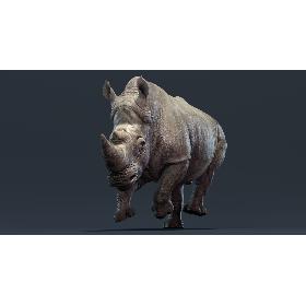 Rhino (Animated) 3D model